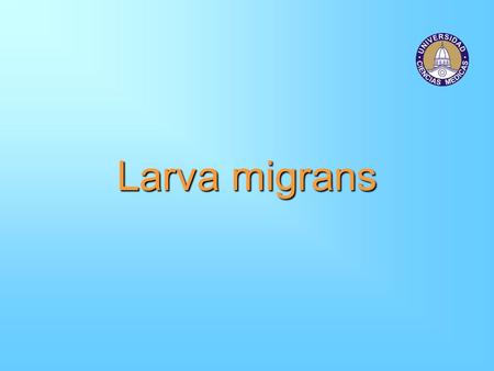 Larva migrans.