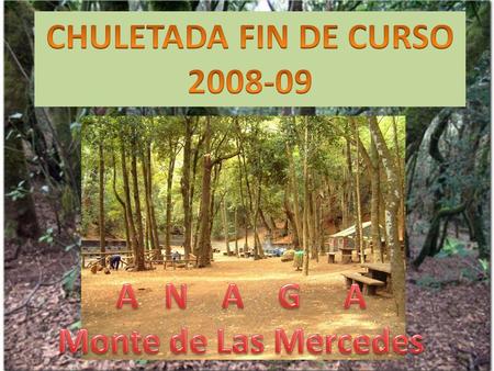 CHULETADA FIN DE CURSO 2008-09 A N A G A Monte de Las Mercedes.