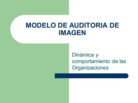 MODELO DE AUDITORIA DE IMAGEN