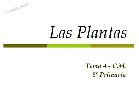 DidactilandiaPT Las Plantas Tema 4 - C.M. 5º Primaria.