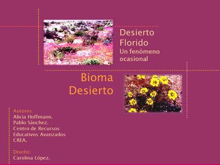 Desierto Florido Bioma Desierto Un fenómeno ocasional Autores: