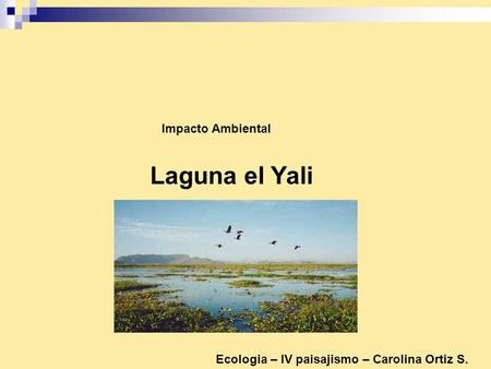 Laguna el Yali Impacto Ambiental