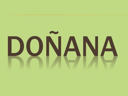 Doñana.