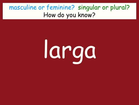 Masculine or feminine? singular or plural? How do you know? larga.