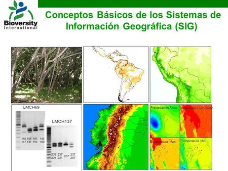 Conceptos Básicos de los Sistemas de Información Geográfica (SIG)
