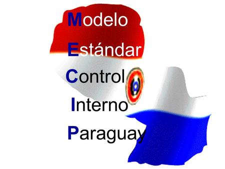Modelo Estándar Control Interno Paraguay.