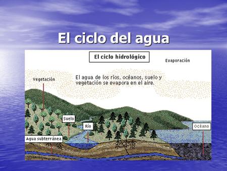 El ciclo del agua.