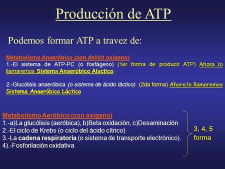 Producción de ATP Podemos formar ATP a travez de: 3, 4, 5 forma