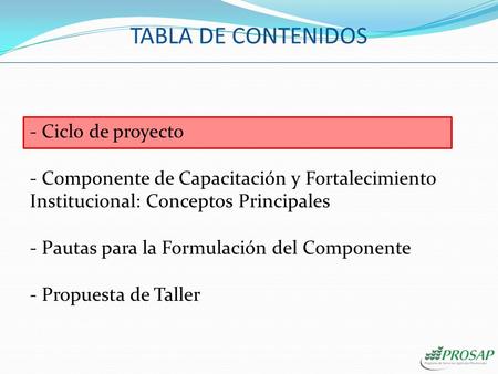 TABLA DE CONTENIDOS Ciclo de proyecto