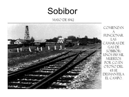 Sobibor mayo de 1942 Comienzan a funcionar las cámaras de gas de Sobibór: unos 150 mil muertos por CO. En otoño del 43 se desmantela el campo. Instructor.