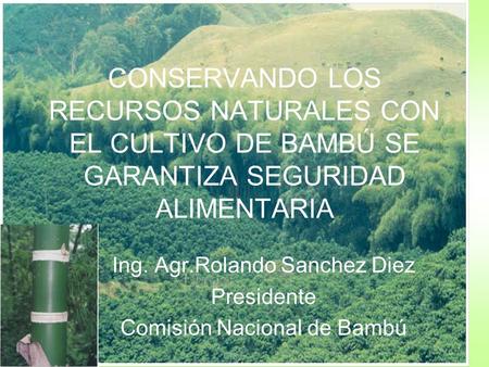 Ing. Agr.Rolando Sanchez Diez Presidente Comisión Nacional de Bambú