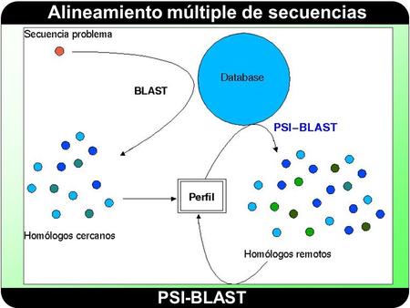 PSI-BLAST.