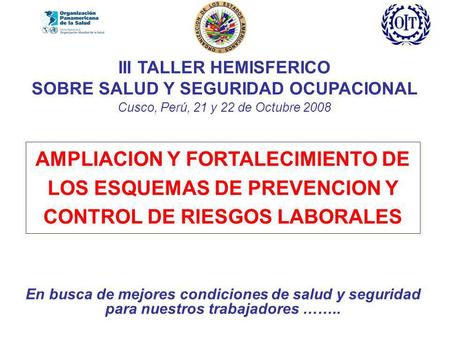 III TALLER HEMISFERICO SOBRE SALUD Y SEGURIDAD OCUPACIONAL Cusco, Perú, 21 y 22 de Octubre 2008 En busca de mejores condiciones de salud y seguridad para.