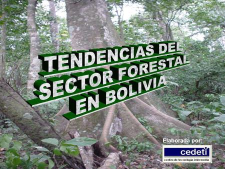 TENDENCIAS DEL SECTOR FORESTAL EN BOLIVIA