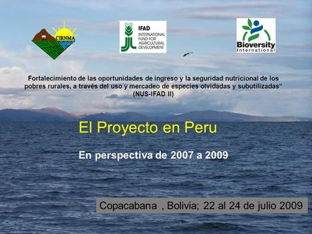 El Proyecto en Peru En perspectiva de 2007 a 2009 Copacabana, Bolivia; 22 al 24 de julio 2009 Fortalecimiento de las oportunidades de ingreso y la seguridad.
