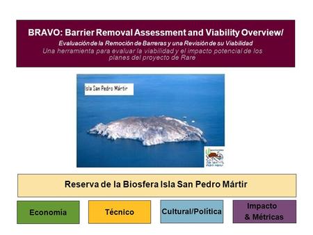 Una herramienta para evaluar la viabilidad y el impacto potencial de los planes del proyecto de Rare BRAVO: Barrier Removal Assessment and Viability Overview/