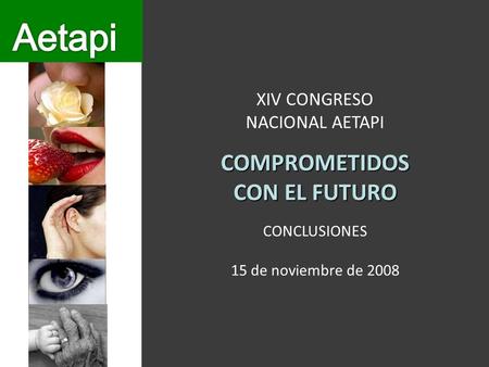 XIV CONGRESO NACIONAL AETAPICOMPROMETIDOS CON EL FUTURO CONCLUSIONES 15 de noviembre de 2008.