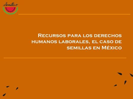 Recursos para los derechos humanos laborales, el caso de semillas en México.