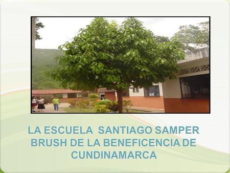 LA ESCUELA SANTIAGO SAMPER BRUSH DE LA BENEFICENCIA DE CUNDINAMARCA