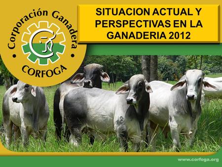 SITUACION ACTUAL Y PERSPECTIVAS EN LA GANADERIA 2012.