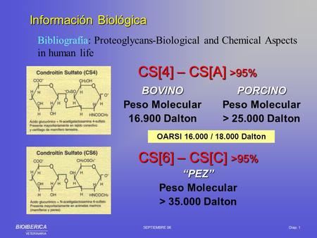 CS[4] – CS[A] >95% CS[6] – CS[C] >95% Información Biológica