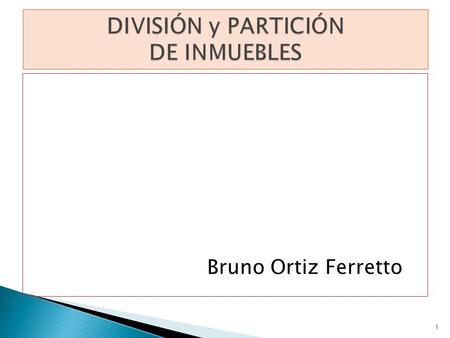 DIVISIÓN y PARTICIÓN DE INMUEBLES