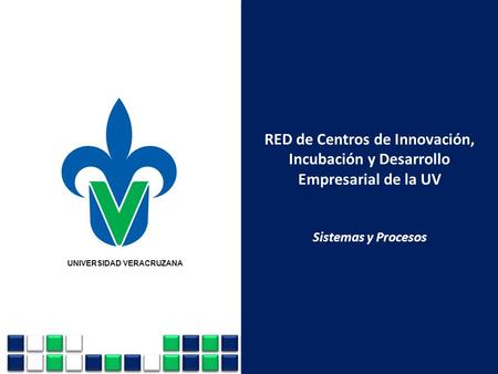 RED de Centros de Innovación, Incubación y Desarrollo Empresarial de la UV Sistemas y Procesos UNIVERSIDAD VERACRUZANA.