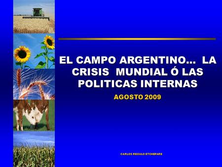 EL CAMPO ARGENTINO… LA CRISIS MUNDIAL Ó LAS POLITICAS INTERNAS