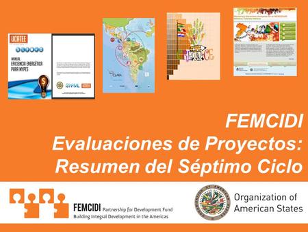 FEMCIDI Evaluaciones de Proyectos: Resumen del Séptimo Ciclo.