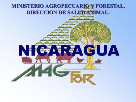 MINISTERIO AGROPECUARIO Y FORESTAL. DIRECCION DE SALUD ANIMAL.