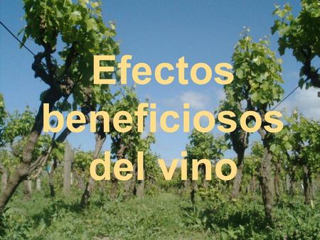 Efectos beneficiosos del vino