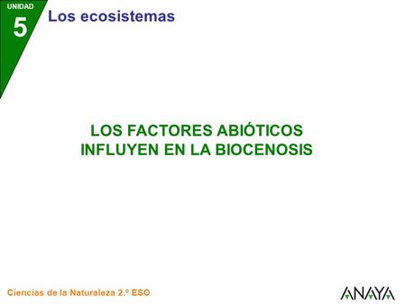 LOS FACTORES ABIÓTICOS INFLUYEN EN LA BIOCENOSIS