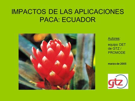 IMPACTOS DE LAS APLICACIONES PACA: ECUADOR Autores: equipo DET de GTZ / PROMODE marzo de 2005.