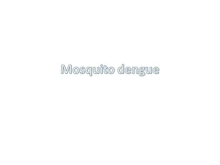 Mosquito dengue.