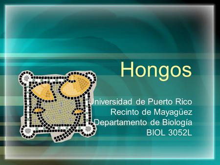 Hongos Universidad de Puerto Rico Recinto de Mayagüez