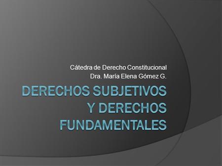 Cátedra de Derecho Constitucional Dra. María Elena Gómez G.