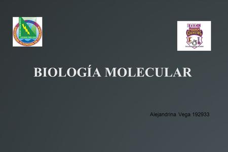 BIOLOGÍA MOLECULAR Alejandrina Vega 192933.