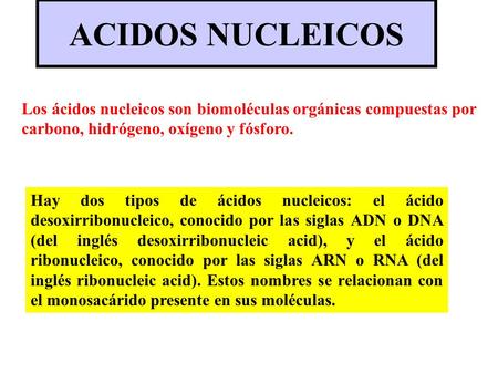 ACIDOS NUCLEICOS Los ácidos nucleicos son biomoléculas orgánicas compuestas por carbono, hidrógeno, oxígeno y fósforo. Hay dos tipos de ácidos nucleicos: