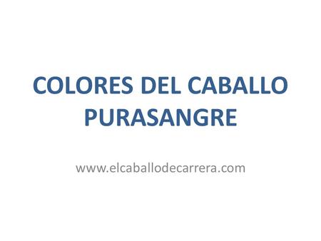 COLORES DEL CABALLO PURASANGRE