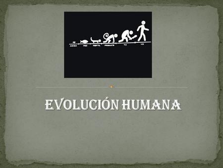 Evolución Humana.