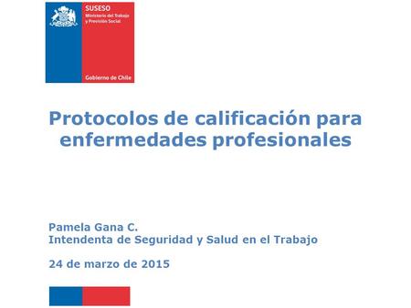 Titulo de la presentación en un máximo de dos líneas Subtitulo de la presentación en una línea Protocolos de calificación para enfermedades profesionales.