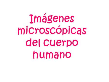 Imágenes microscópicas del cuerpo humano