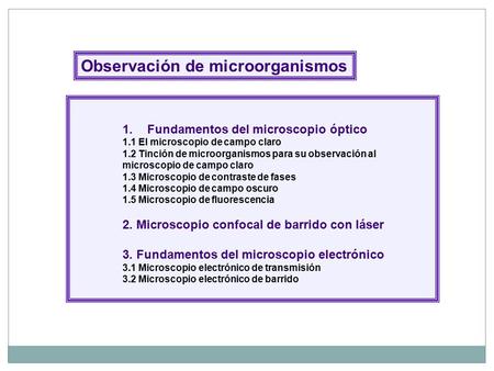 Observación de microorganismos
