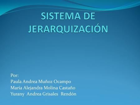 SISTEMA DE JERARQUIZACIÓN