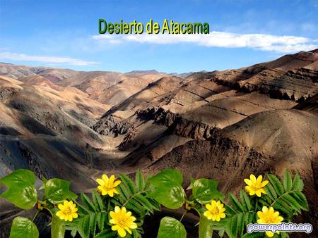 En el desierto de Atacama, el más árido del mundo, ubicado al norte de Chile, se produce un fenómeno climático espectacular.
