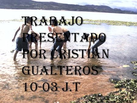 TRABAJO PRESENTADO POR CRISTIAN GUALTEROS 10-03 J.T.