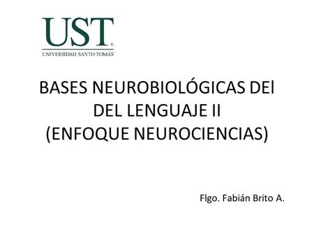 BASES NEUROBIOLÓGICAS DEl DEL LENGUAJE II (ENFOQUE NEUROCIENCIAS)
