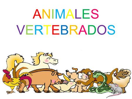 ANIMALES VERTEBRADOS.