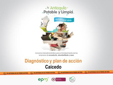 Diagnóstico y plan de acción Caicedo