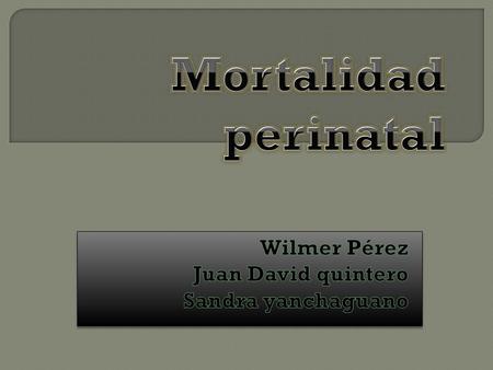 Wilmer Pérez Juan David quintero Sandra yanchaguano